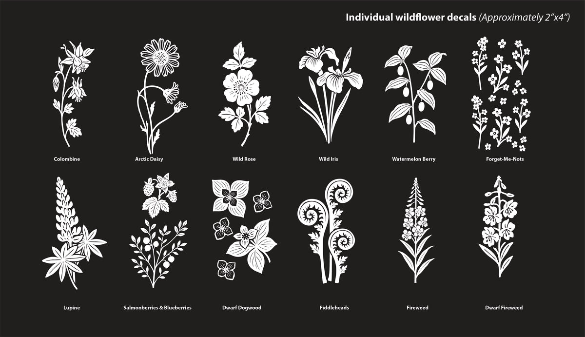 Pre-order: Individual Wildflowers