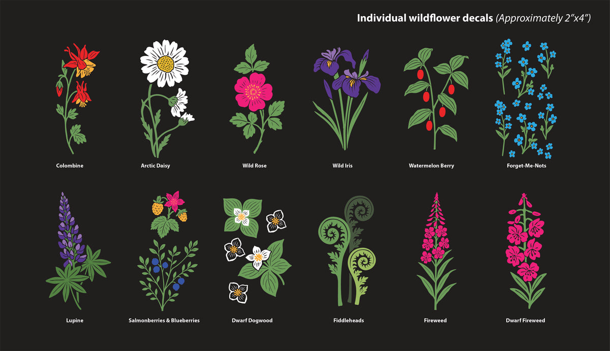 Pre-order: Individual Wildflowers