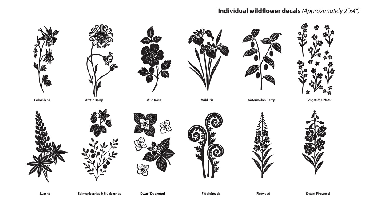 Pre-order: Individual Wildflowers